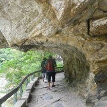 遊歩道を歩きました