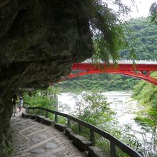 遊歩道を歩きました