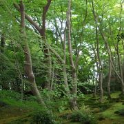 物語がある、尼寺です。