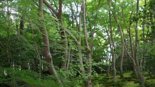 物語がある、尼寺です。