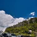 純和風ペンション 王滝山荘 銀（しろがね） 写真