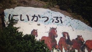 標識の変わりに。