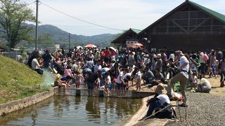 魚つかみ取りがしたくって