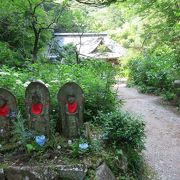 あじさい寺