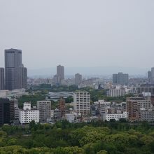 上からの眺めは最高でした