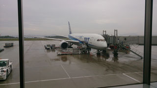 紅葉まんじゅうがいっぱい