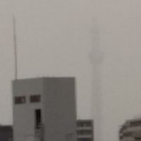 うっすらとスカイツリーが見えました。