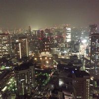 客室の窓からの眺望。都心の夜景が綺麗でした。