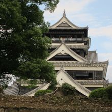 どっしりとしています