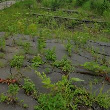 隆起によって階段状になった町道。