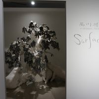 十和田現代美術館とのコラボ