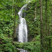 シャトルバスで雲井の滝まで20分くらい