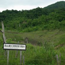 第一展望台。正面が火口です。あちこちに大小の火口があります。