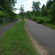 斜めにかしいだ遊歩道。人のいる先に階段状の町道があります。