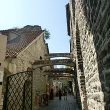 カタリーナの小道