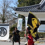 岡崎武将隊の本気度がすごい！