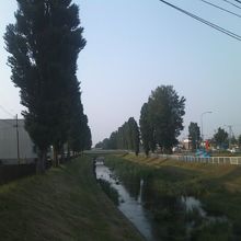 ポプラ並木の遠景