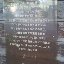 こんなさりげない解説板も設置されています