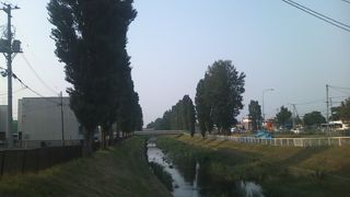 ポプラ通り沿いの遊歩道も結構心地良いスポットになっています