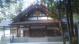 石碑関連の見所が多い神社です