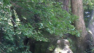 第二大楠もぜひ！