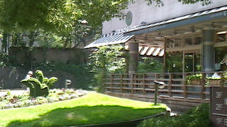 毎日お散歩したい日比谷公園