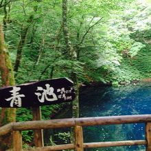 素敵すぎる〜深い青！