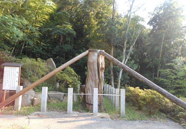 はりつけの松 クチコミ アクセス 営業時間 美浜 フォートラベル はりつけの松 クチコミ アクセス 営業時間 美浜 フォートラベル
