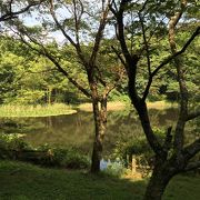 池のある穴場の公園