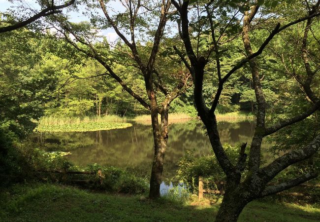 池のある穴場の公園