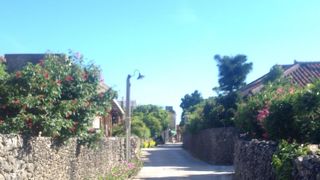 沖縄らしい光景