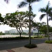 水辺にそってたっています。