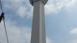 あの独特の五稜郭城跡が一望できる