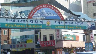 新鮮な魚が売られています