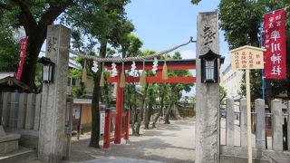 立派な神社ですが、本殿は見えにくいです。
