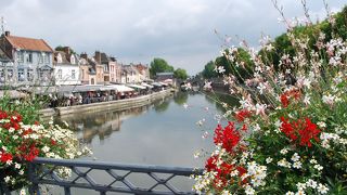 散歩が気持ちイイ