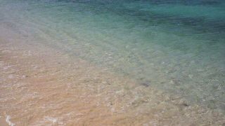 キレイな海