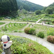 奥側から園内全体を見渡した風景