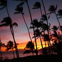 庭からの夕陽。パンフレットみたい！