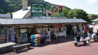 わさびと文化施設の道の駅