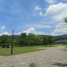 右側の山が春日山原始林。