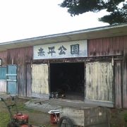 昭和の風情が色濃く残る公園です