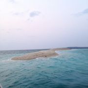 サンゴの島