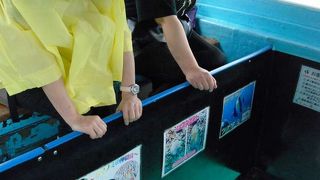 天候がよくなかったので、泳がず、船底ガラスの観光船で海中のサンゴを見た