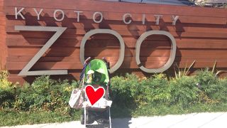 アットホームな動物園