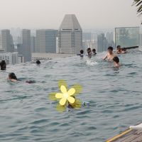 やはりこのプール