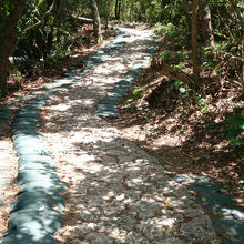 ちょっとハードな一本道が続きます。微妙に坂だしキツイ。