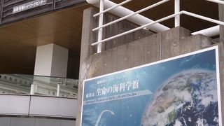 海にまつわる歴史などをわかりやすく学べる