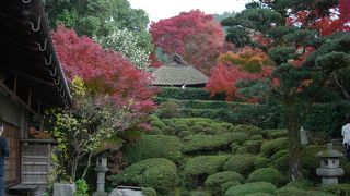 庭を眺めながら静かに過ごせます