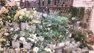 飾り付け等に使える物が豊富